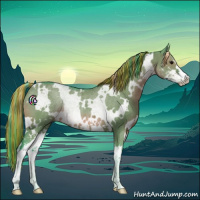 Horse Color:Painted Watercolor White Spotted Grullo Sabino Rabicano 
