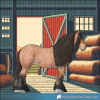 Horse Color:Bay Roan 
