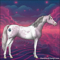 Horse Color:Silver Bay Dun Tobiano Rabicano 