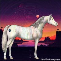 Horse Color:Silver Buckskin Ice Dun 