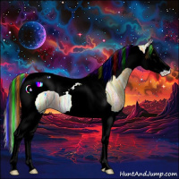 Horse Color:Painted Buckskin Ice Splash Tobiano 