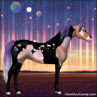 Horse Color:Watercolor Bay Onyx Tobiano