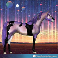 Horse Color:Watercolor Bay Onyx Tobiano 
