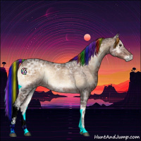 Horse Color:Painted Liver Red Onyx Ice Rabicano 