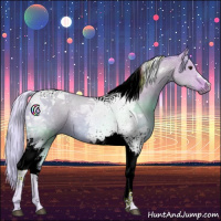 Horse Color:Watercolor Silver Bay Dun Tobiano