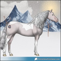 Horse Color:Watercolor Silver Amber Champagne Dun Tobiano 