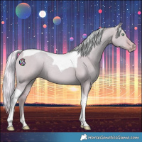 Horse Color:Watercolor Silver Amber Champagne Dun Tobiano
