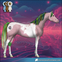 Horse Color:Painted Watercolor Bay Tobiano 