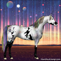 Horse Color:Painted Nacre White Spotted Brown Ice Dun Sabino 