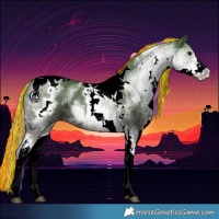 Horse Color:Painted White Spotted Silver Black Tobiano