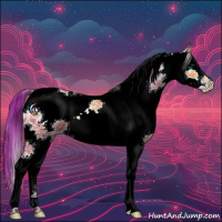 Horse Color:White Spotted Buckskin Ice 