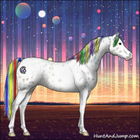 Horse Color:Painted Watercolor White Spotted Buckskin Splash Tobiano Appaloosa 