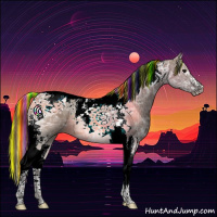 Horse Color:Painted Smoky Grullo Ice Tobiano 