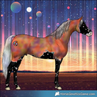 Horse Color:Nacre Silver Bay Splash 