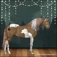 Horse Color:Gray Chocolate Palomino Dun Tobiano 