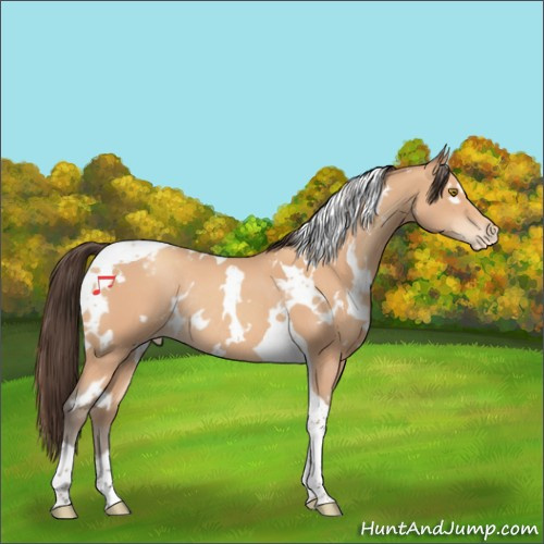 Horse Color:White Spotted Amber Champagne Tobiano Appaloosa Rabicano 