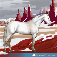 Horse Color:Gray Chestnut 