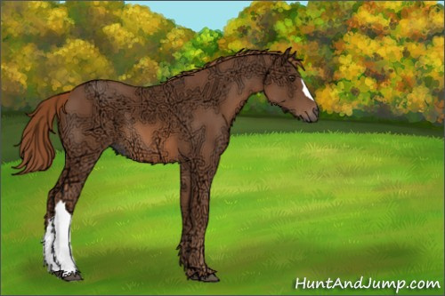 Horse Color:Chestnut Ice 