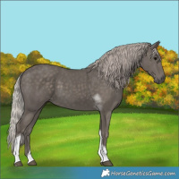 Horse Color:Silver Black Tobiano 