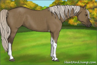Horse Color:Silver Smoky Grullo Tobiano 
