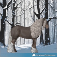 Horse Color:Silver Black Tobiano 