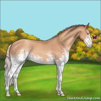 Horse Color:White Spotted Silver Classic Champagne 