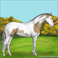 Horse Color:Classic Cream Champagne Splash Tobiano Rabicano 