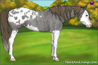 Horse Color:Smoky Blue Roan Splash Blanket 