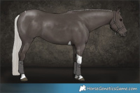 Horse Color:Silver Black Tobiano 