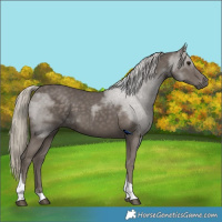 Horse Color:Silver Smoky Black Tobiano