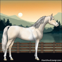 Horse Color:Silver Classic Champagne Roan Pearl Tobiano Frame 