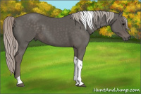 Horse Color:Silver Black Tobiano