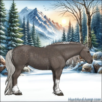 Horse Color:Silver Black Tobiano