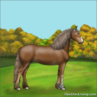 Horse Color:Gray Palomino 