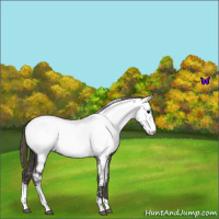 Horse Color:Smoky Blue Roan Tobiano Near Fewspot 