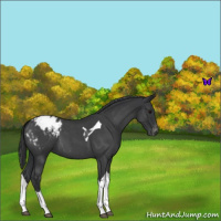 Horse Color:Blue Roan Tobiano Varnish 
