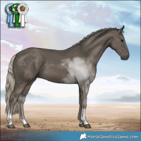 Horse Color:Silver Smoky Black Tobiano 