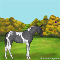 Horse Color:Blue Roan Tobiano Varnish 