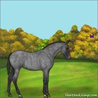 Horse Color:Blue Roan Varnish 