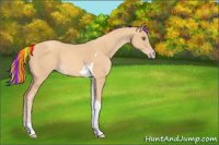 Horse Color:Painted Gold Champagne Tobiano 