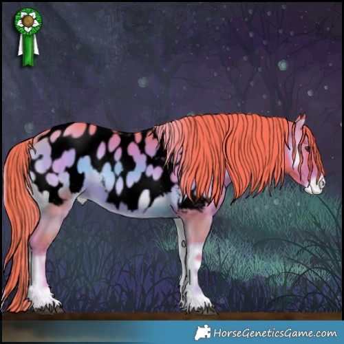Horse Color:Void Watercolor Liver Red Onyx Appaloosa