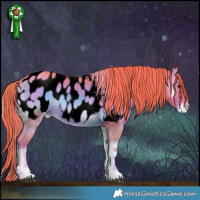 Horse Color:Void Watercolor Liver Red Onyx Appaloosa 