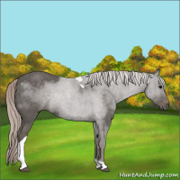 Horse Color:Silver Black Tobiano 