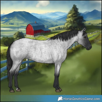 Horse Color:Blue Roan 