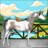 Horse Color:Brown Dun Splash Tobiano Rabicano 