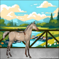 Horse Color:White Spotted Silver Brown Dun 