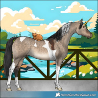 Horse Color:Brown Dun Tobiano 
