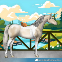 Horse Color:Silver Smoky Grullo Pearl Tobiano 
