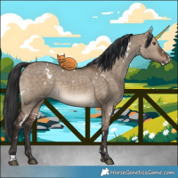 Horse Color:White Spotted Brown Dun