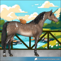 Horse Color:White Spotted Brown Dun 